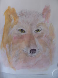 Aquarell Fuchs